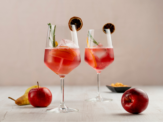Zwei Herbal Spritzer mit Eis, getrockneter Zitrone und Rosmarinzweig – serviert im Weinglas mit frischem Obst im Hintergrund.