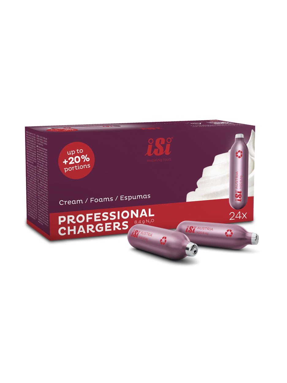 Professional Chargers